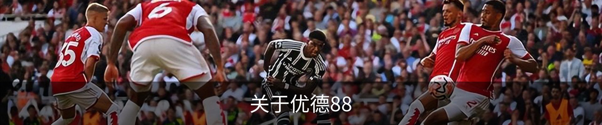 关于优德88